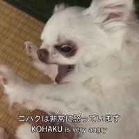 「お風呂に入ってくる」と言ったら激怒
