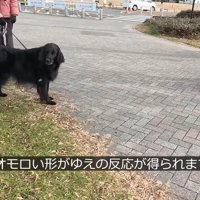 ぽん太君とゆず君のおかげで、みんな笑顔に♪