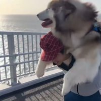 紅ちゃんと橋の上を散歩