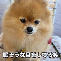 だんだん眠くなってきて…？