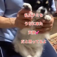 ちーちゃんとの出会い⑩
