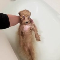 お風呂の温度が気持ちいい