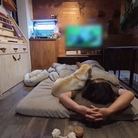 寝場所を変える大福くん