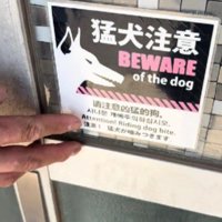 「噛みつきます」