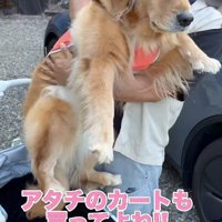 切ない表情にクスッ