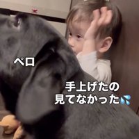 ママには見えてなかったけど、男の子なりの謝罪