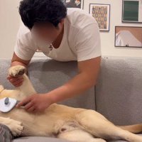 堂々たるリラックス