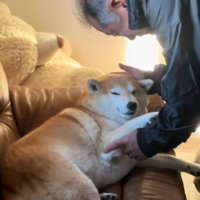 優しい笑顔のおじいちゃん