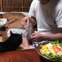 仲良くおやつタイム♪