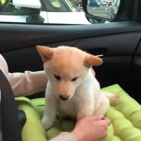 ノンくんを迎えに行った日