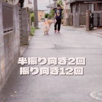 たくさん振り向いたメルくん