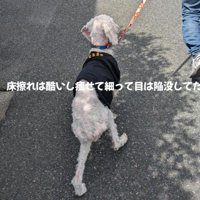 少しずつ体力をつける