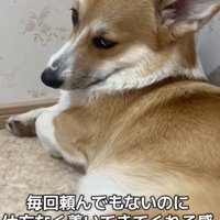 「仕方なしにだからね」