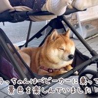 アウトレットでお買い物