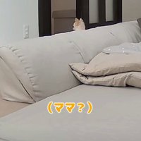 「ママがいない…」