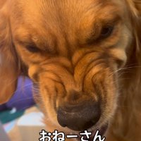 ブチギレた範馬勇次郎？