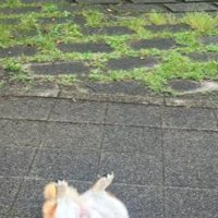 雨の日