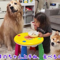 仲良しな3兄妹
