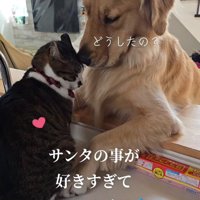 ルナちゃんが「好き！」とアピール