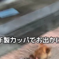 雨の日のお散歩へ