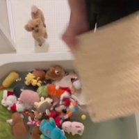 おもちゃも投入！