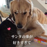 寄り添ってくれるサンタくん