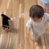 男の子のまわりを走る子犬