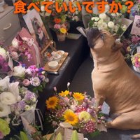 ママに確認してる…？