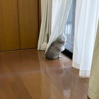 帰宅に気づかず