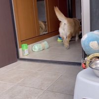 天才的な切り替え