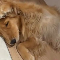 頭の後ろの方へと伸ばし…