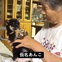 名前を呼びかけるおばあちゃん2