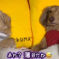 隣にいるらいらちゃんは…？
