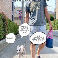 散歩するローマちゃん