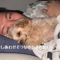 ぴったりと寄り添うラテちゃん