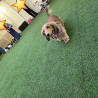 ニコニコ
