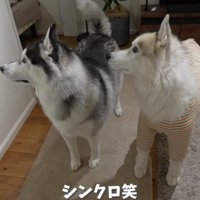 「誰か来たよ？」