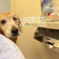 わんこが来てくれた
