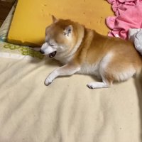 「いい時間だったなあ」