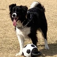 たびちゃんも破壊王♪