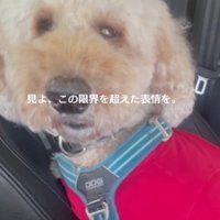 「運転のサポートしないと…！！」