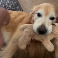 喜びは隠せなかった様子…