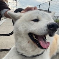 のんびり花見は好き♡