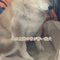 外から太鼓の音が聞こえたら…