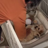幸せ確定だね！！