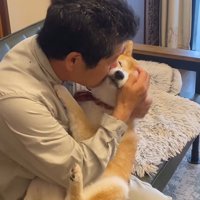男性に顔を寄せられて目を細める犬