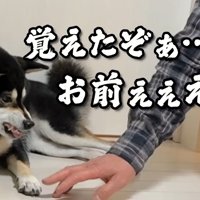 すみすみちゃんは激怒！