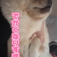 小梅ちゃんの成長4