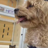 幸せを手に入れたよ！