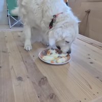 これからも元気でね！！